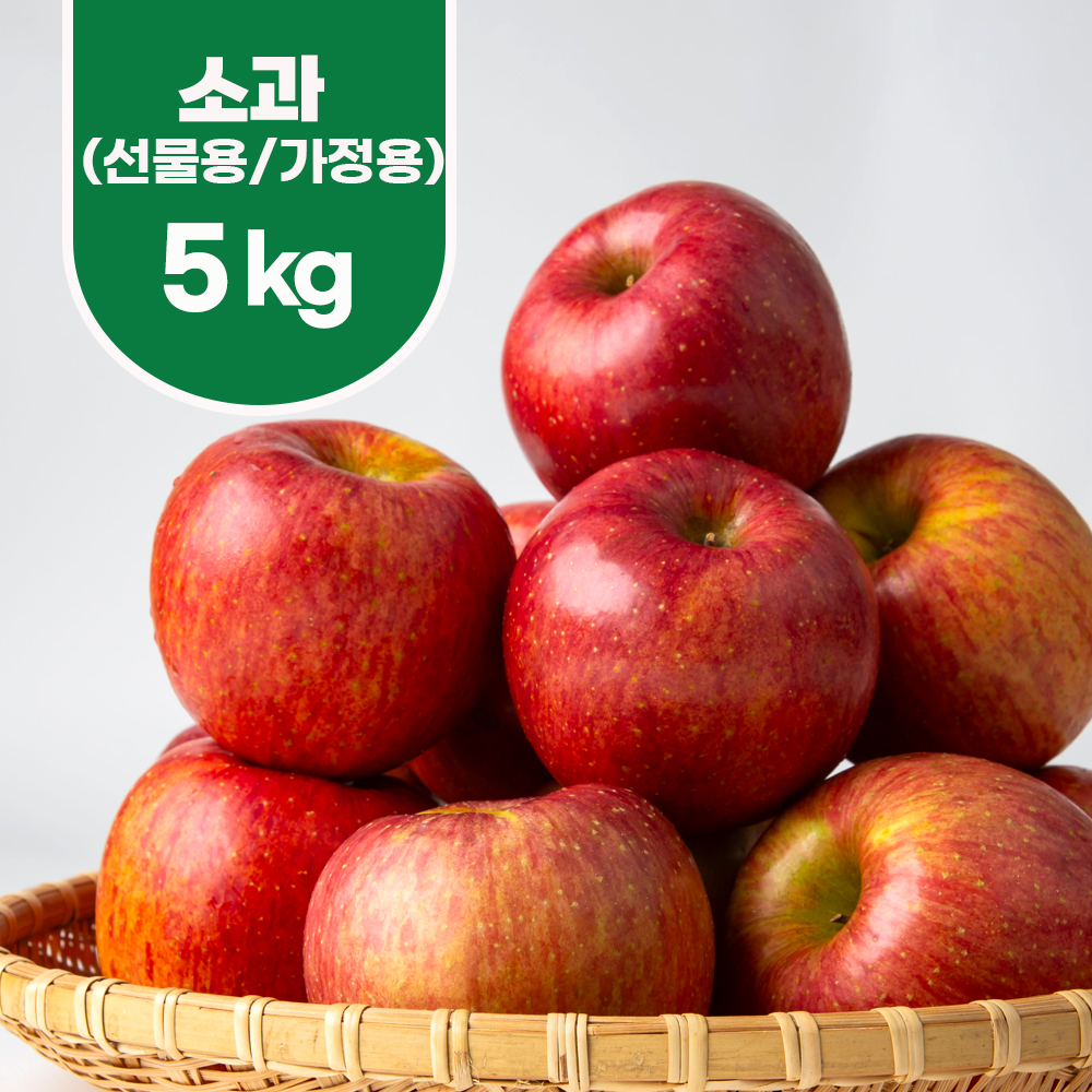 건강가득 제철과일 문경부사 5kg 소과(선물용:20~21과)